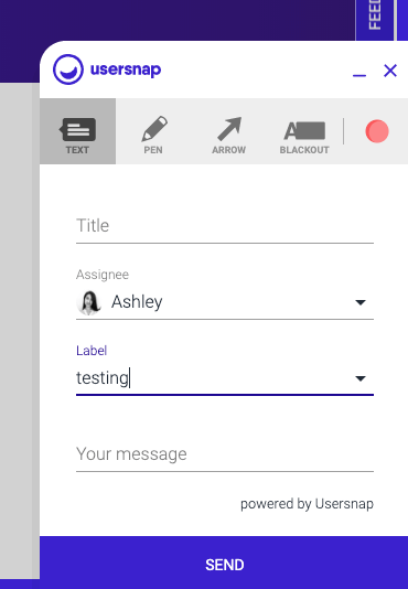 Usersnap widget bug reporting fields
